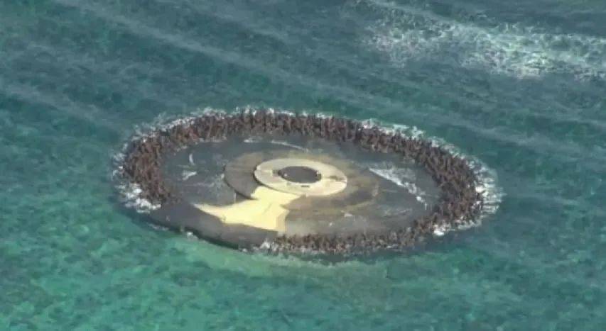 中日突然爆发激烈对峙！日本海空两路出击，中方压根没当回事