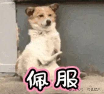 藏太好了吧？他俩没宣结婚而是直接宣布孩子出生！