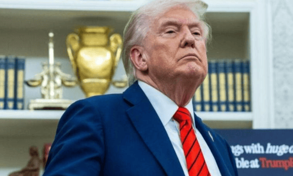 大结局要来？荷兰体面认输，或恢复中方CEO职位，特朗普“弃卒保帅”，美国罕见退了一步