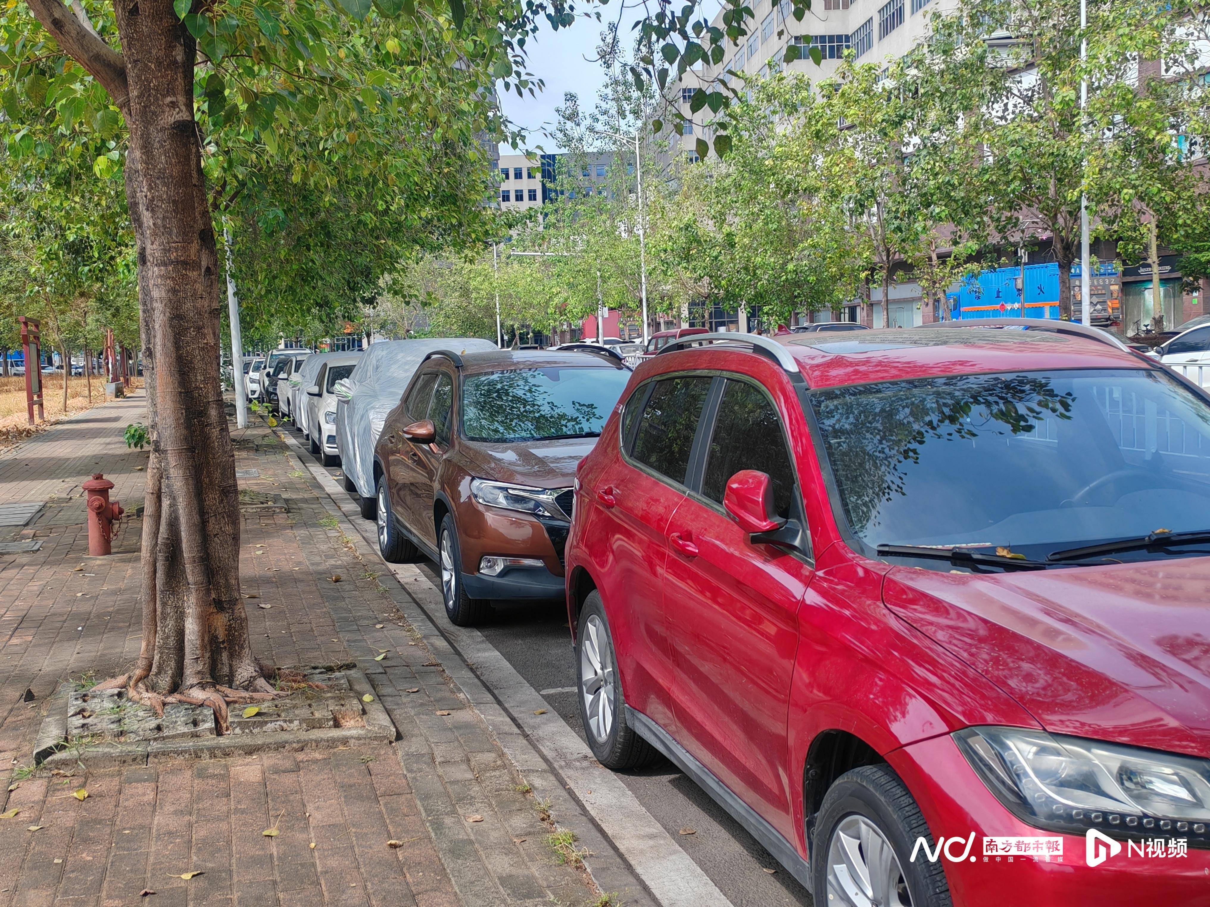 东莞一村告示:停放超过五日的“僵尸车”,或将拖车处理