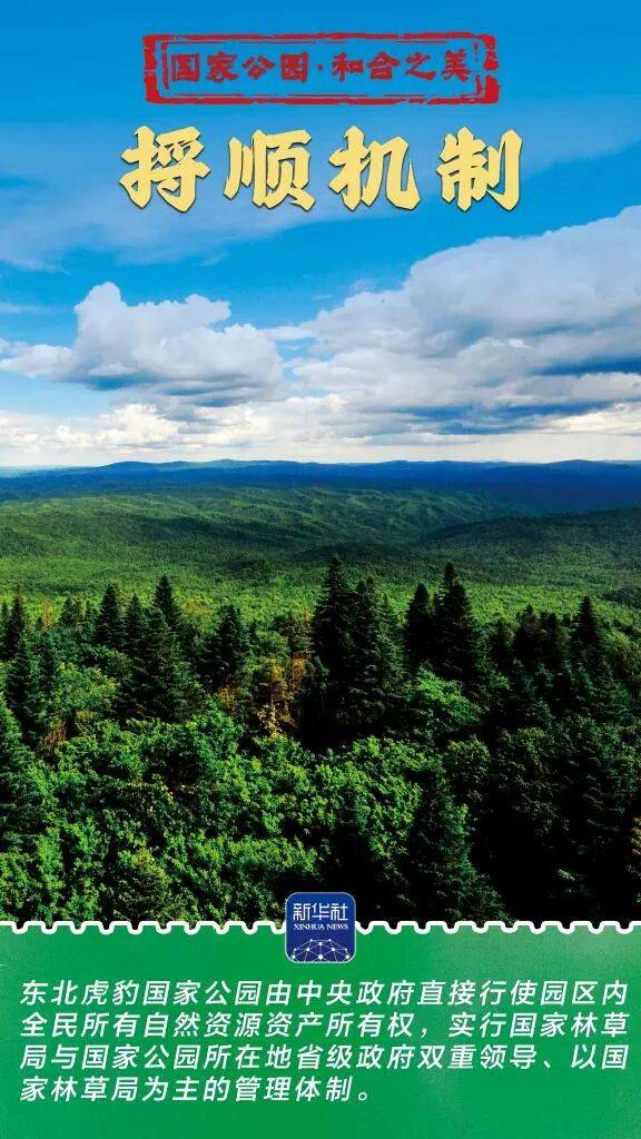 新华社:东北虎豹国家公园 猛兽家园野性王国