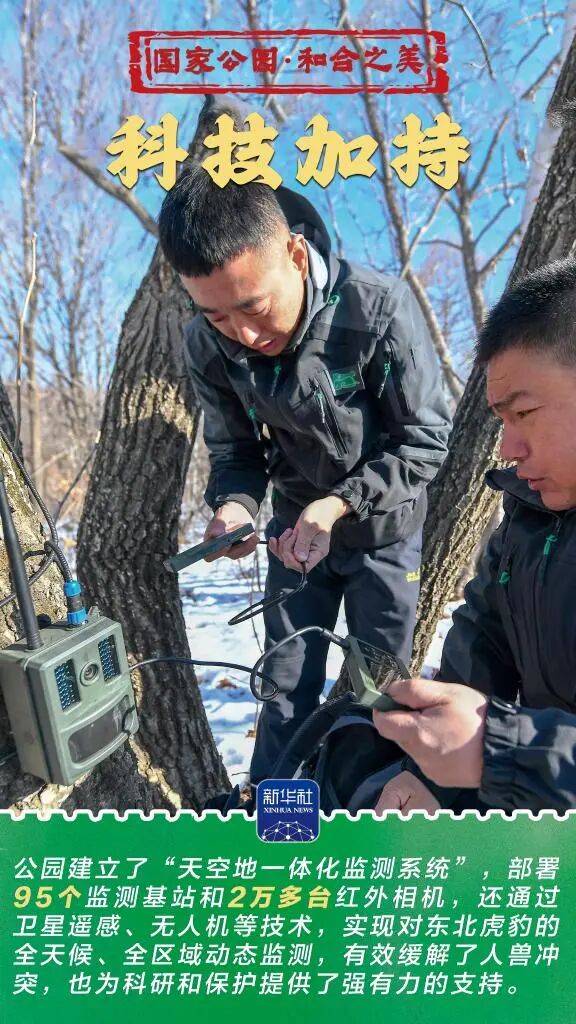 新华社:东北虎豹国家公园 猛兽家园野性王国