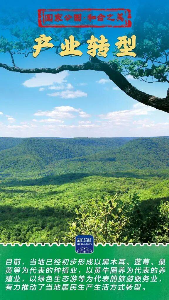 新华社:东北虎豹国家公园 猛兽家园野性王国