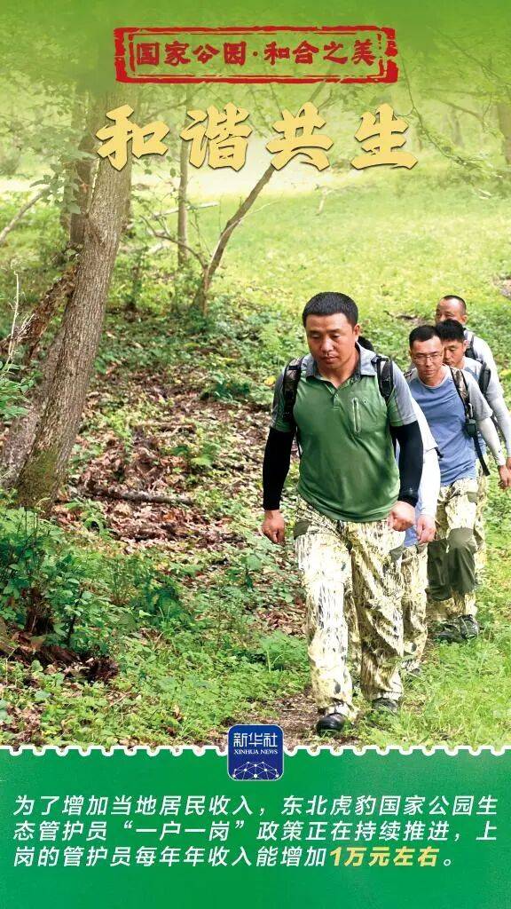 新华社:东北虎豹国家公园 猛兽家园野性王国