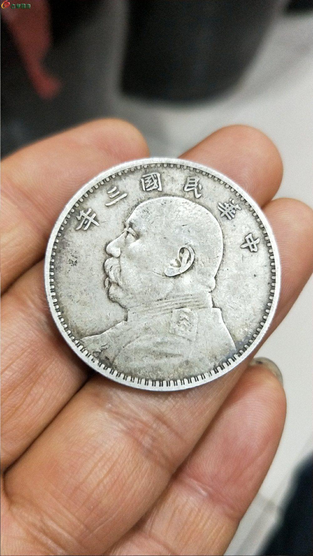 大头币(大头币多少钱)