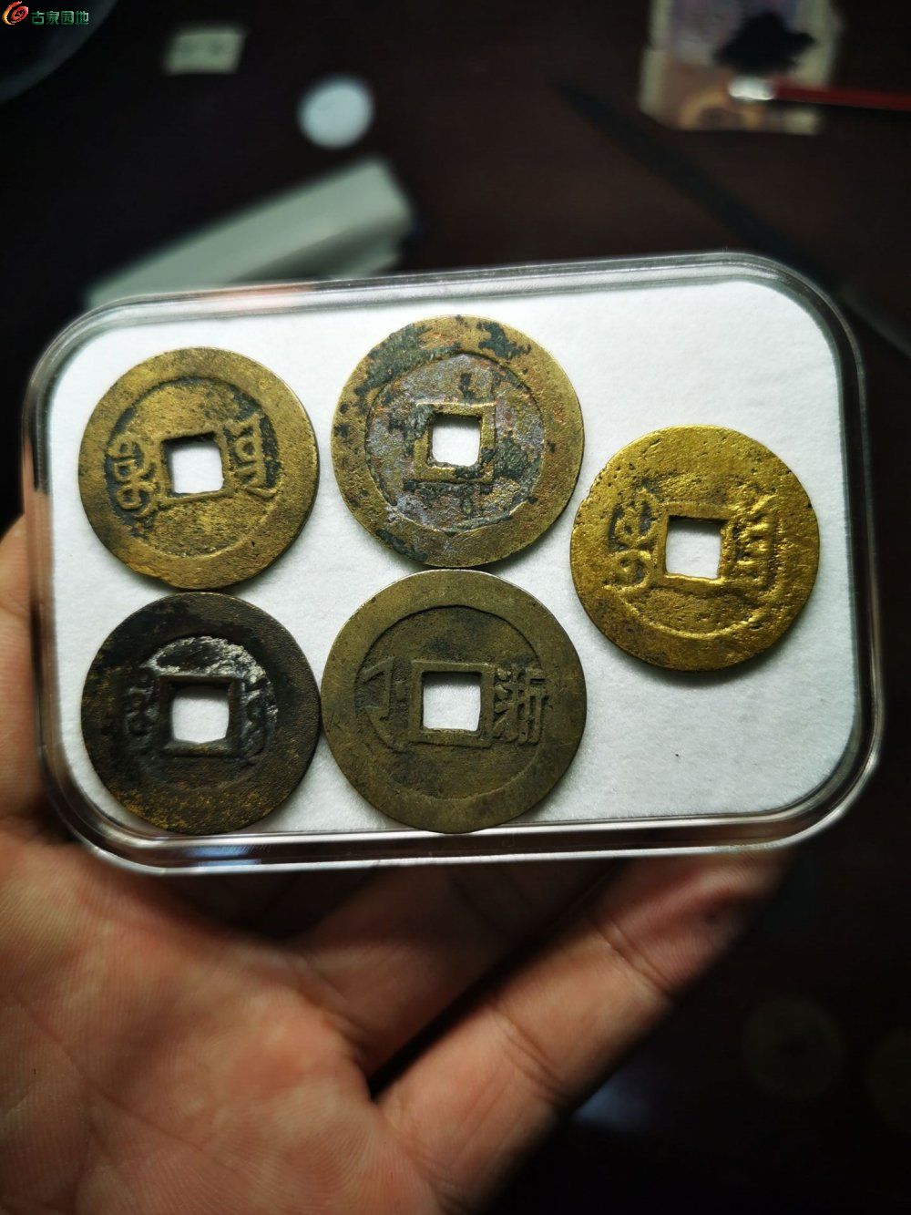微五币商城(微币有什么作用)