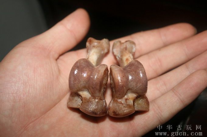 狼币(狼币市能避邪吗)