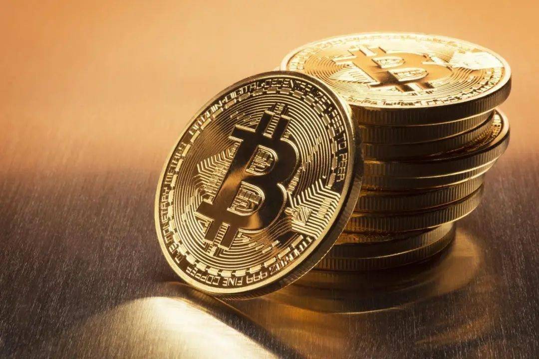 币特儿(比特儿app下载)