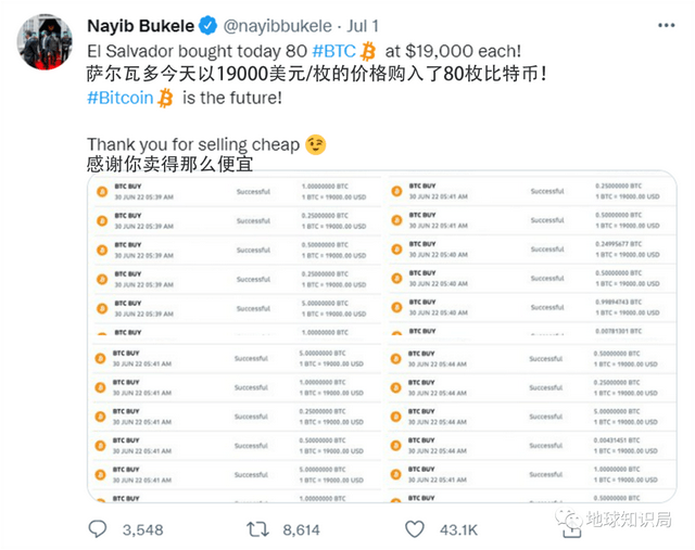 币根网(碧根果的图片)