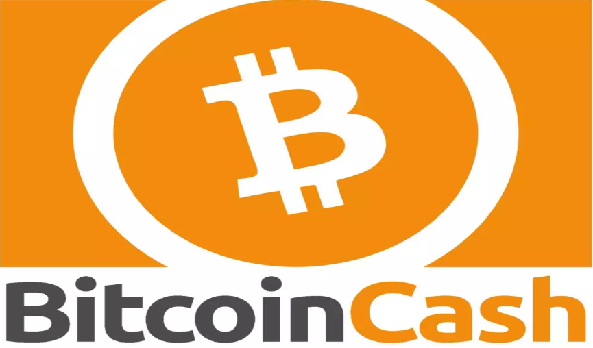 BCH(b超有两点基本是男孩)