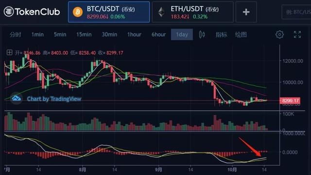 币姥爷(币姥爷公众号)