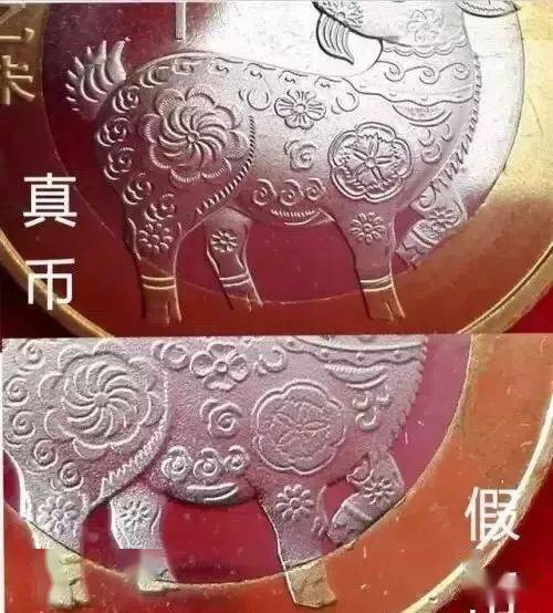 币里羊(哔哩哔哩)