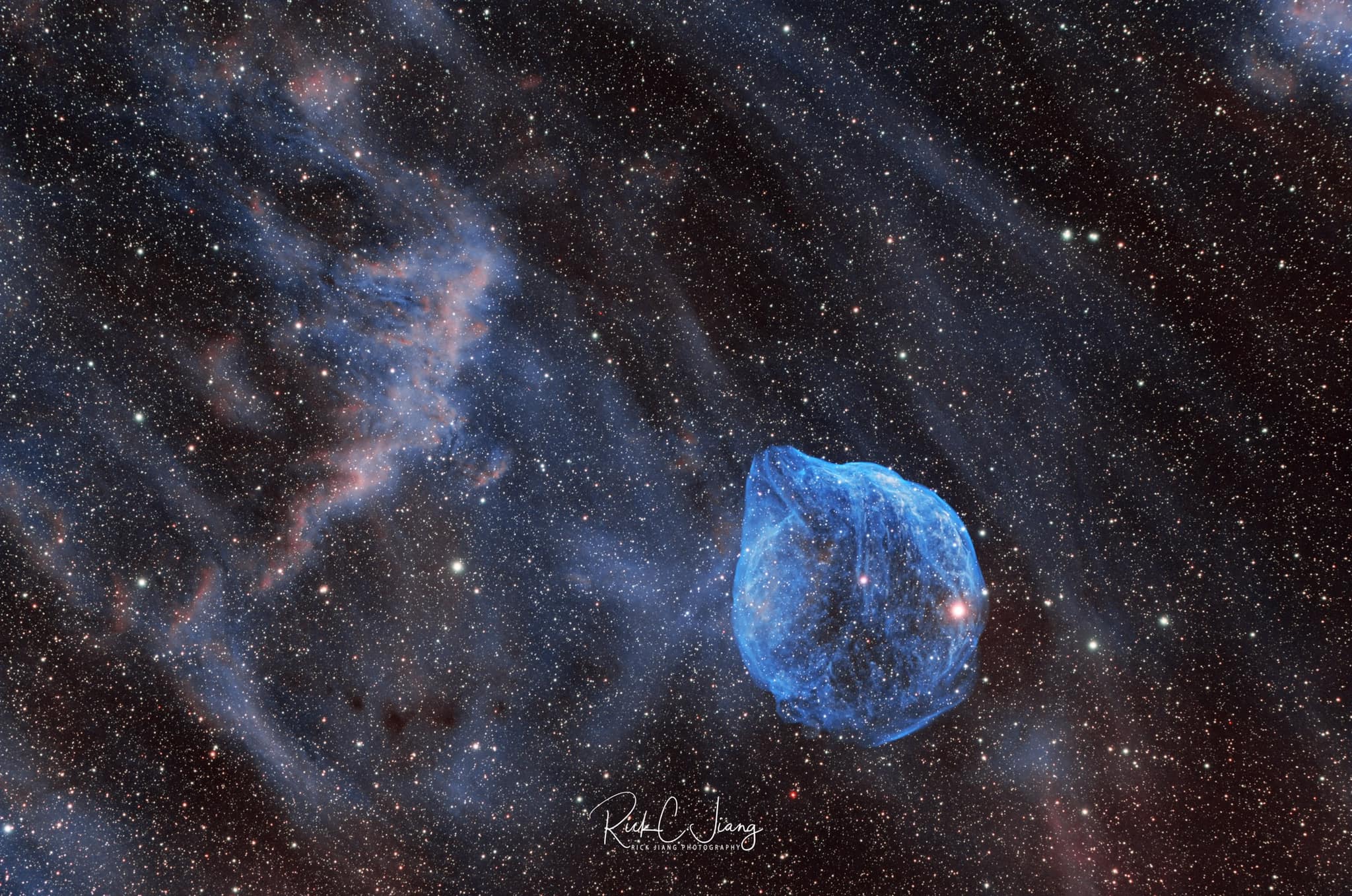 星云币价格(星云币有投资价值吗)