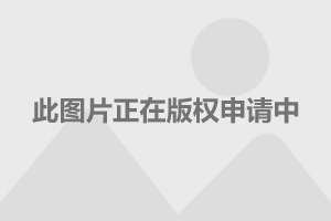 法币汇率(法币汇率人民币)