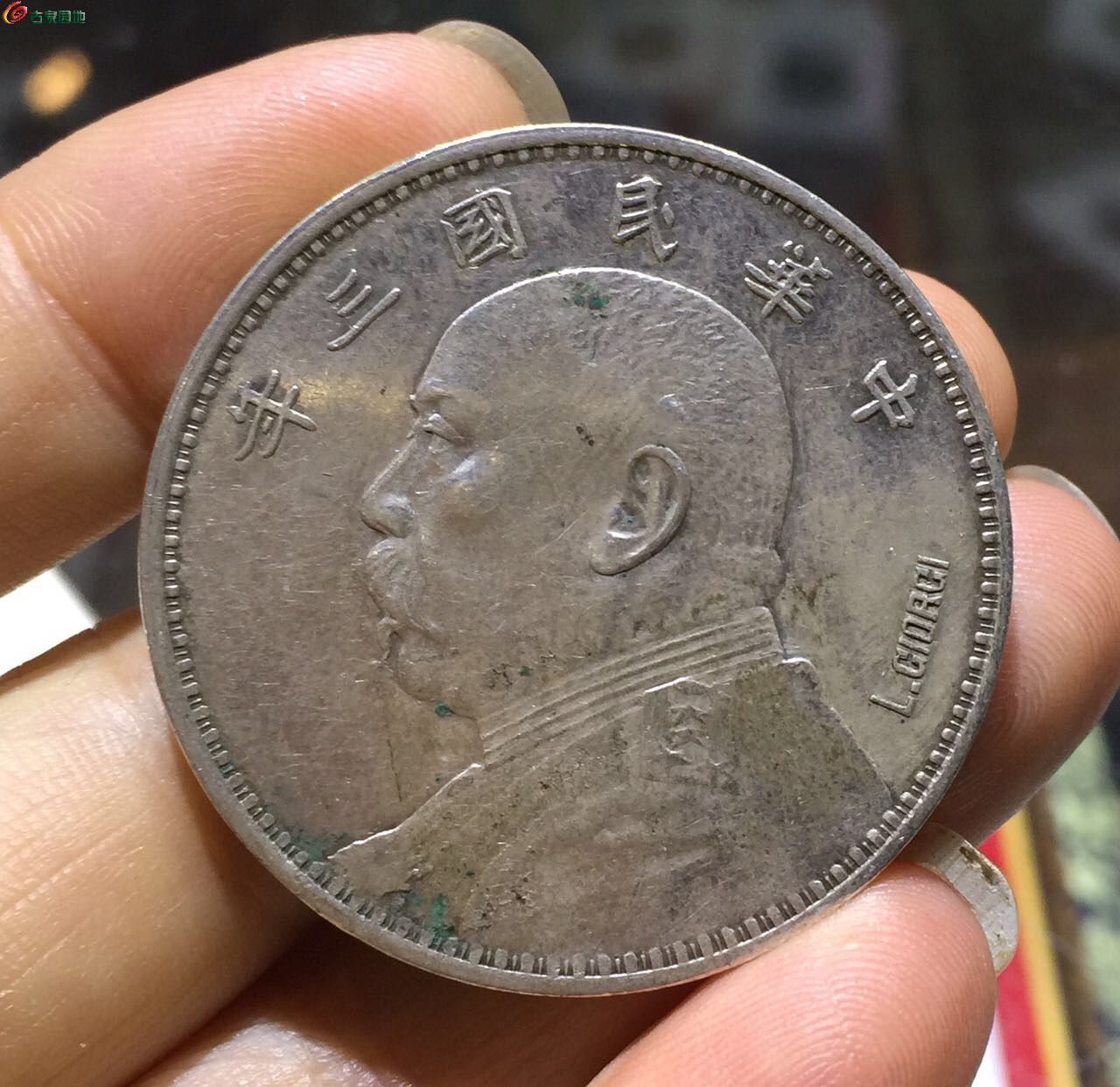 大头币的价格(大头币长什么样)