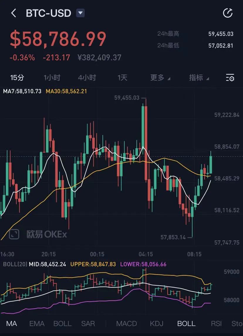 维特币今日价格(维特币现在上市了吗)