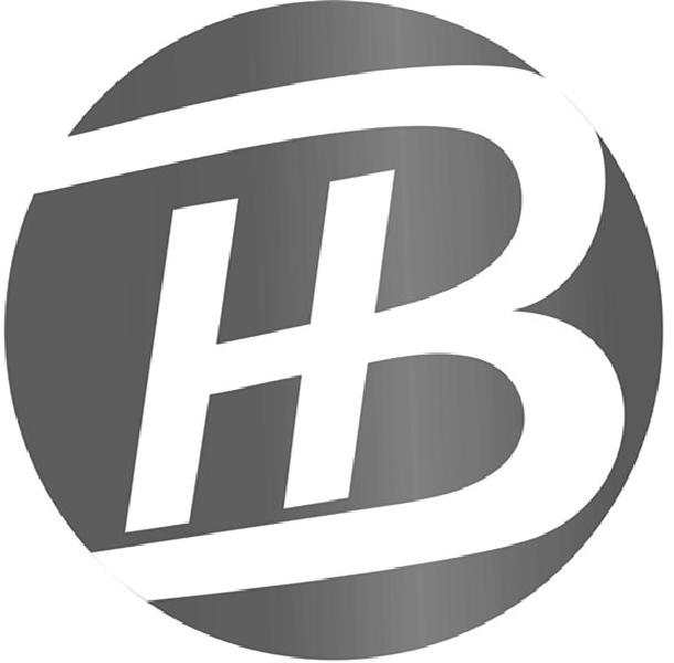 HB(hbsab阳性是什么意思)