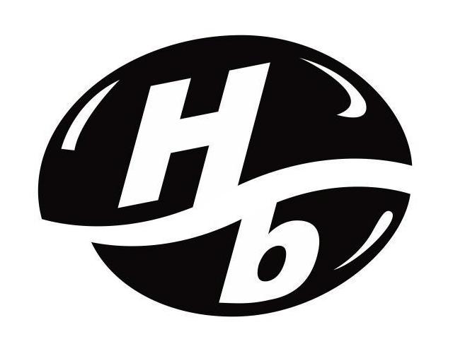 HB(hbsag是什么意思)