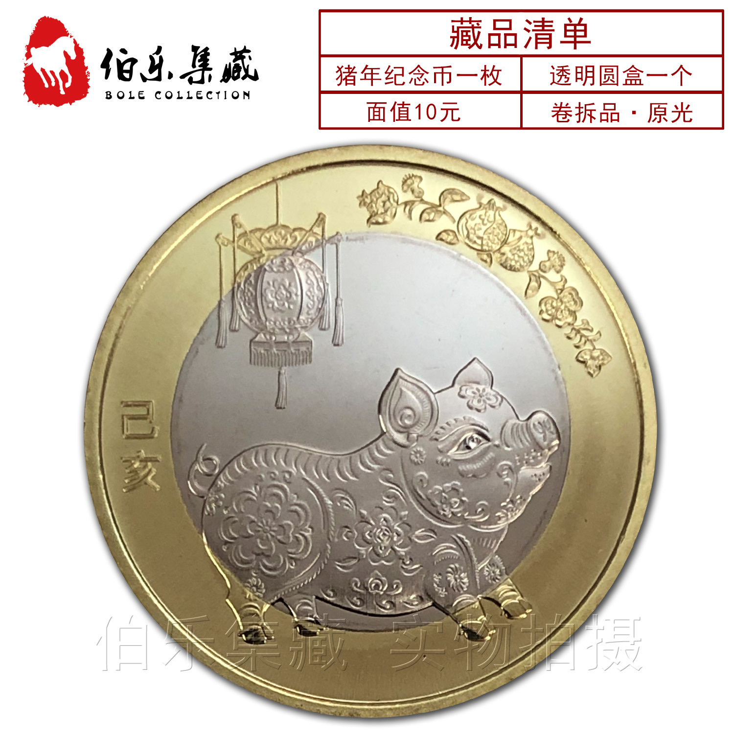 猪猪币(猪猪币的官网最新消息)