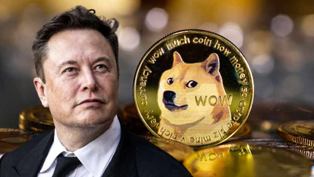 狗狗币暴涨(狗狗币暴涨时间)
