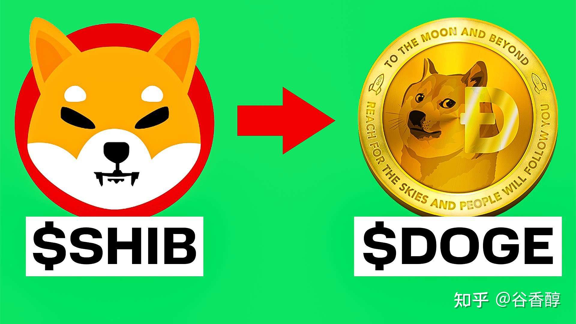 DOGE币(doge币最新消息)