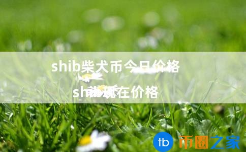 狗狗币今日最新价格(狗狗币今日最新价格 币排名网)