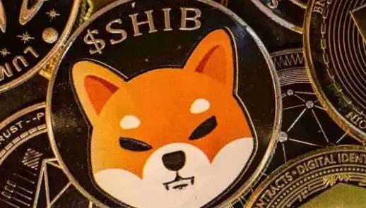 狗屎币(狗屎币历史走势)