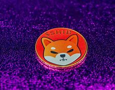 SHIB币最新消息(shib币最新消息和价格)