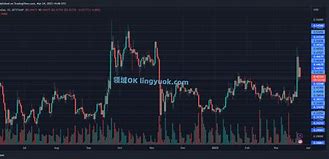 SHIB币最新消息(shib币最新消息和价格)