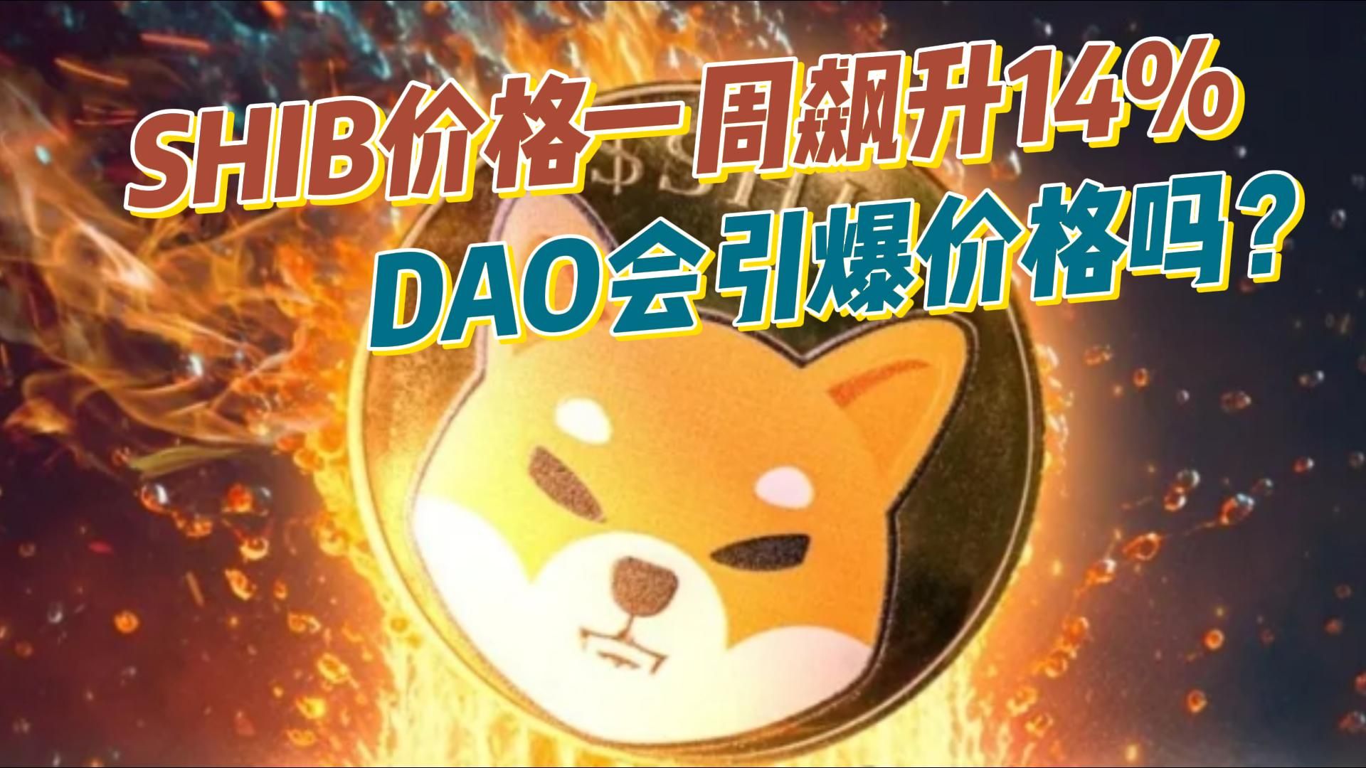 SHIB(shib币最新消息)